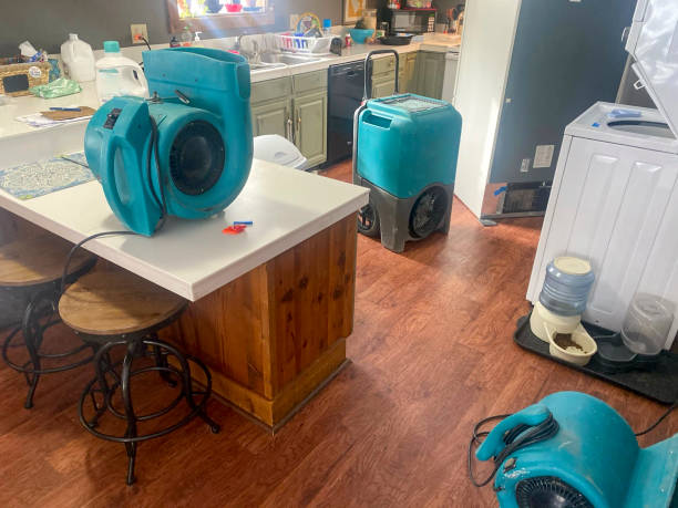 Best Flooded house restoration  in Prien, LA