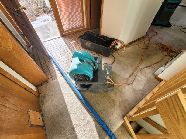 Best Water damage restoration near me  in Prien, LA