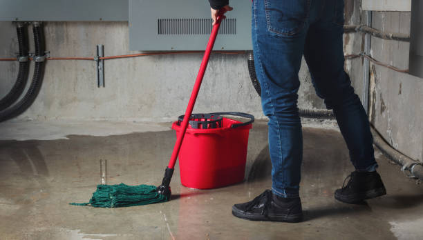 Best Basement water damage restoration  in Prien, LA