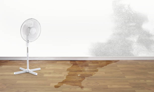 Best Water damage restoration near me  in Prien, LA
