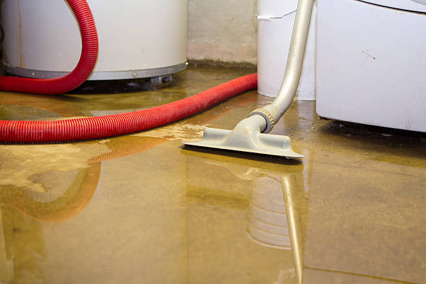 Best Water damage restoration insurance claims  in Prien, LA