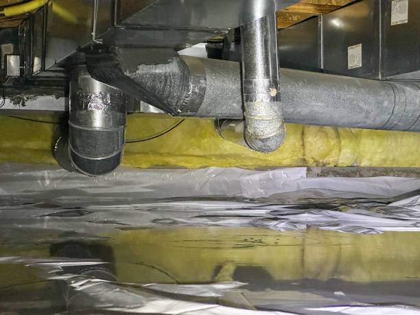 Best Water damage restoration cost  in Prien, LA
