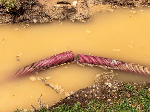Best Local water damage restoration  in Prien, LA