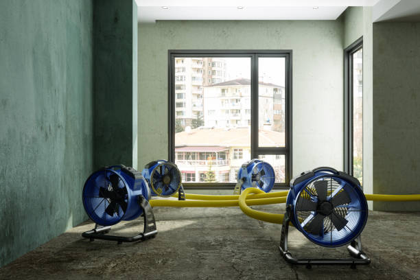 Best Carpet water damage restoration  in Prien, LA