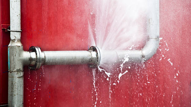 Best Ceiling water damage repair  in Prien, LA